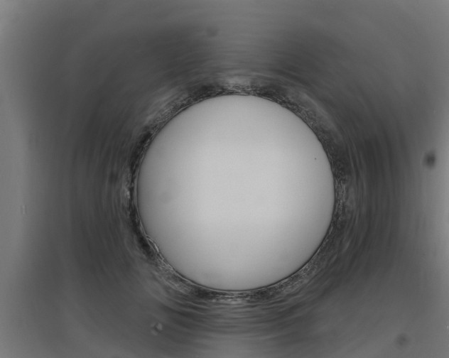 X0000097630702200802290844