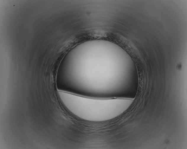 X0000097630704200802290844