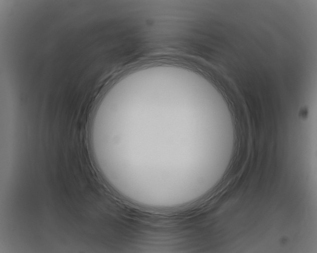 X0000097630705200802290844