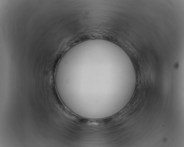 X0000097630706200802290844