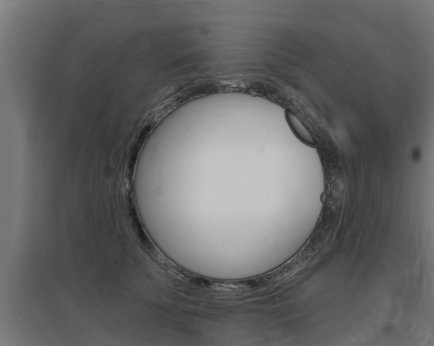 X0000097630707200802290844