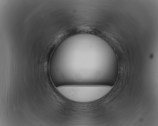 X0000097630708200802290844