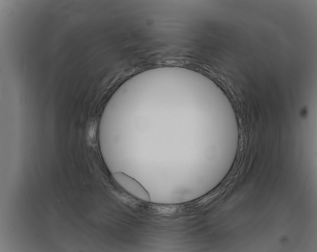 X0000097630709200802290844