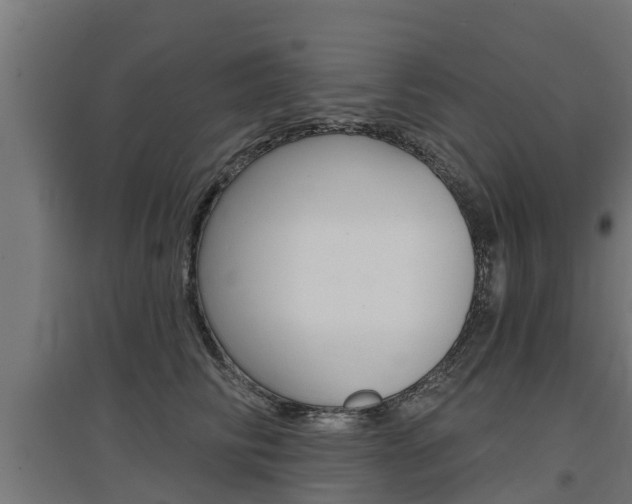 X0000097630710200802290844