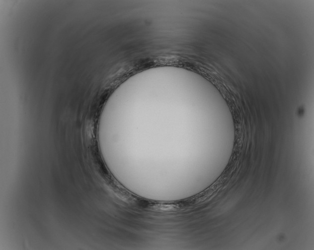 X0000097630711200802290844