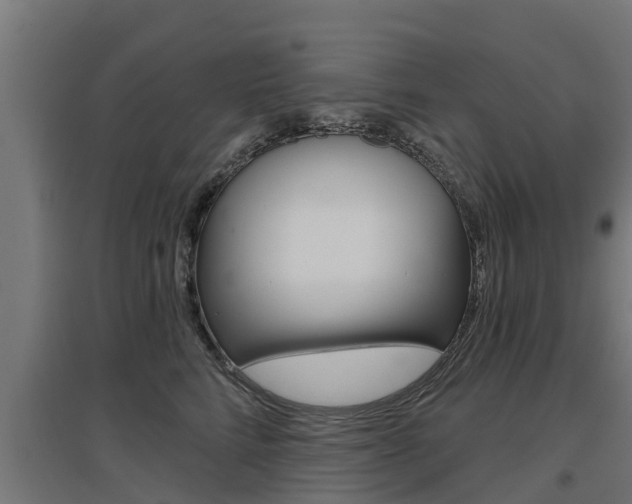 X0000097630712200802290844