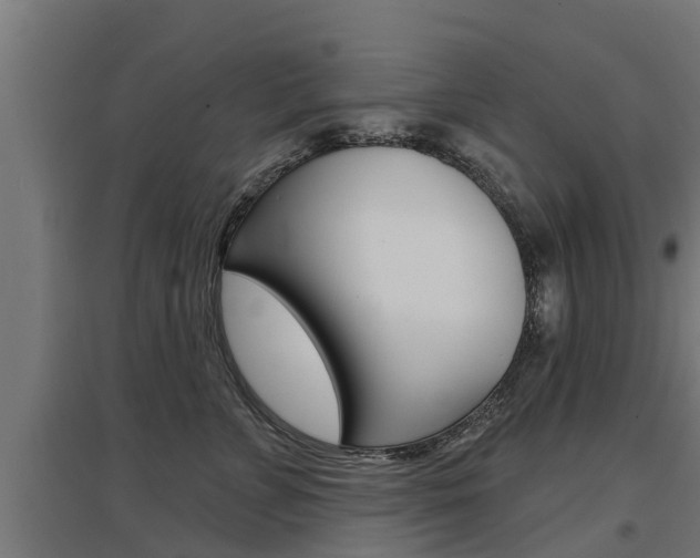 X0000097630715200802290844
