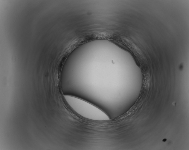 X0000097630716200802290844