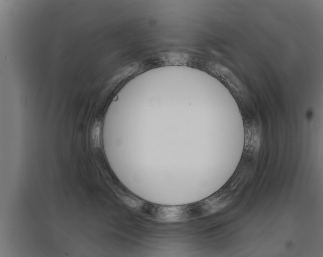 X0000097630717200802290844