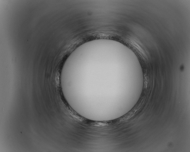 X0000097630718200802290844
