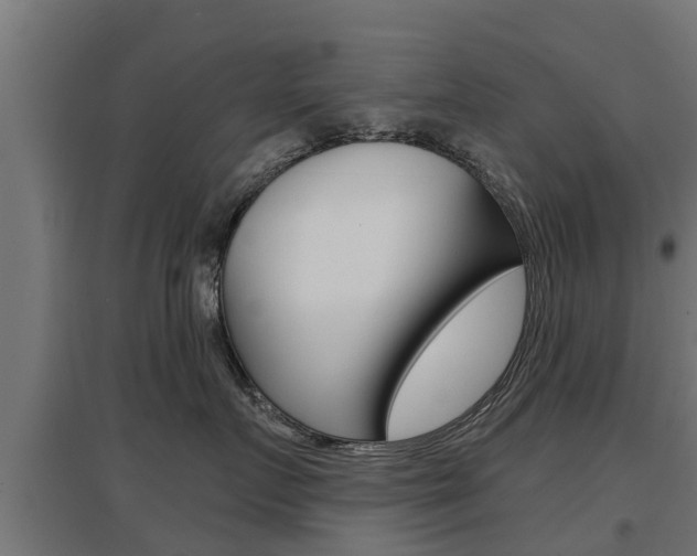 X0000097630719200802290844