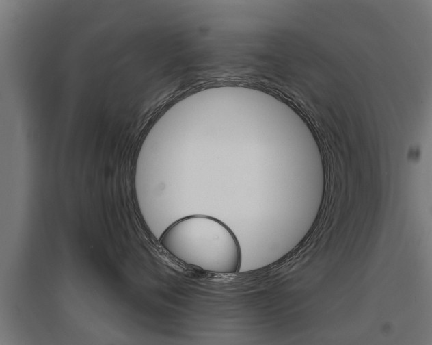 X0000097630720200802290844