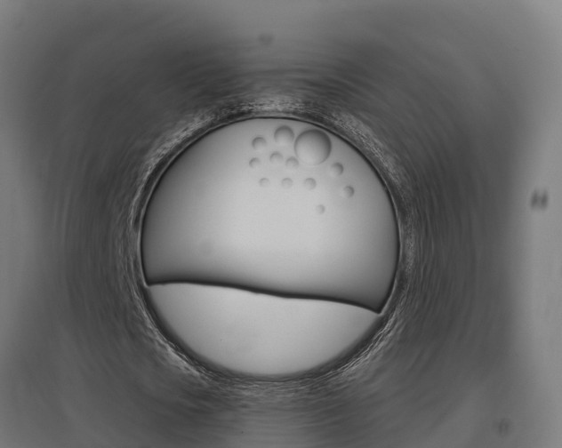 X0000097630721200802290843