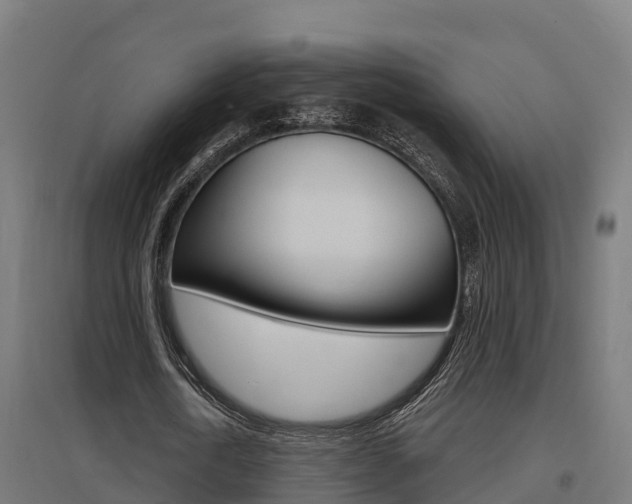 X0000097630722200802290843