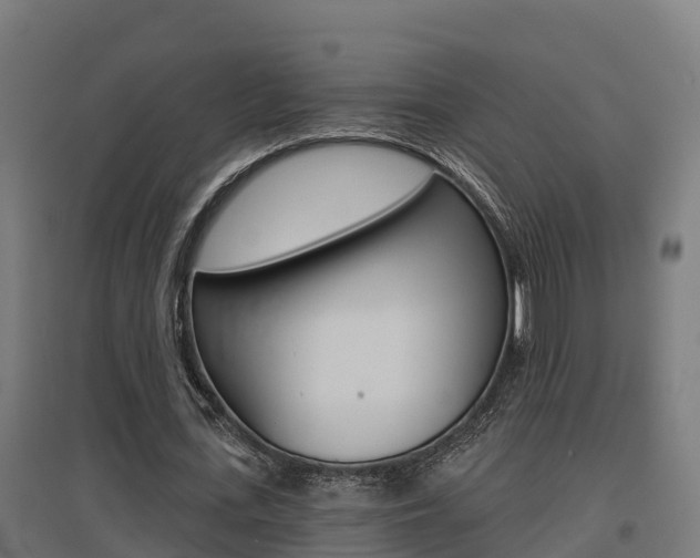 X0000097630723200802290843