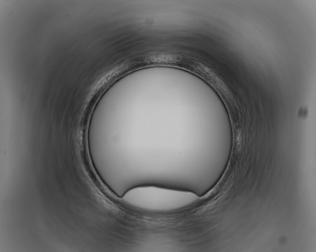X0000097630725200802290843