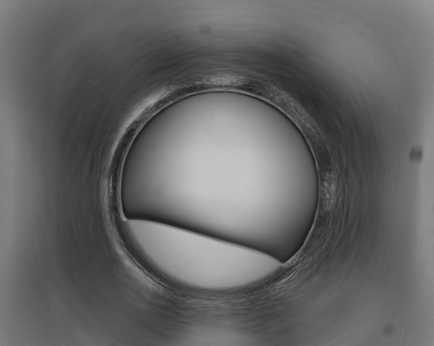 X0000097630726200802290843
