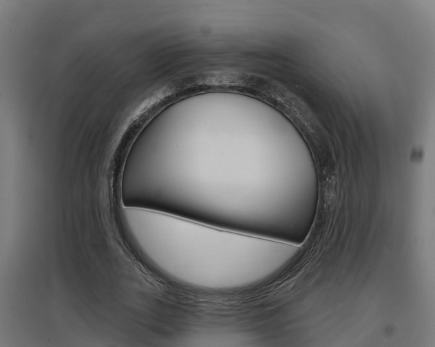 X0000097630727200802290843