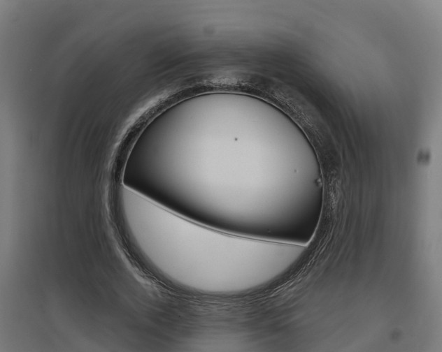 X0000097630728200802290844