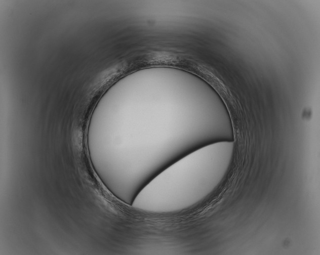 X0000097630729200802290844