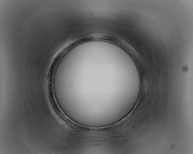 X0000097630730200802290844