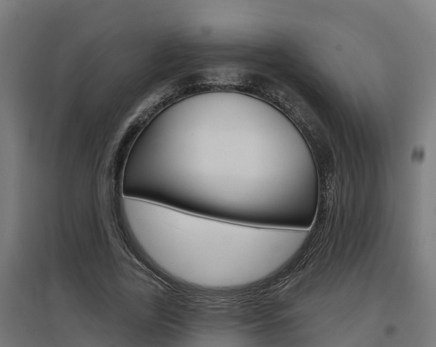 X0000097630731200802290844