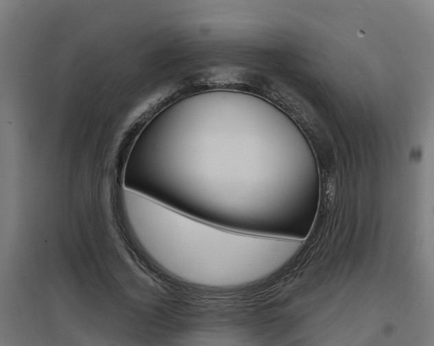 X0000097630732200802290844