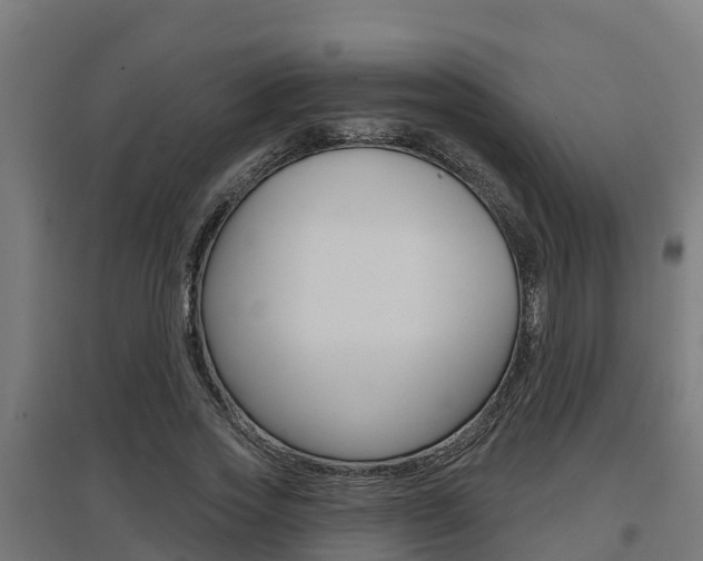 X0000097630733200802290844
