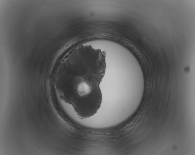 X0000097630734200802290844