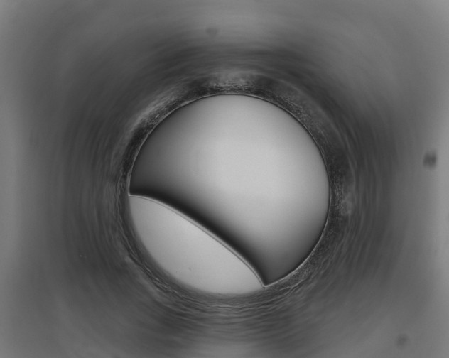 X0000097630735200802290844