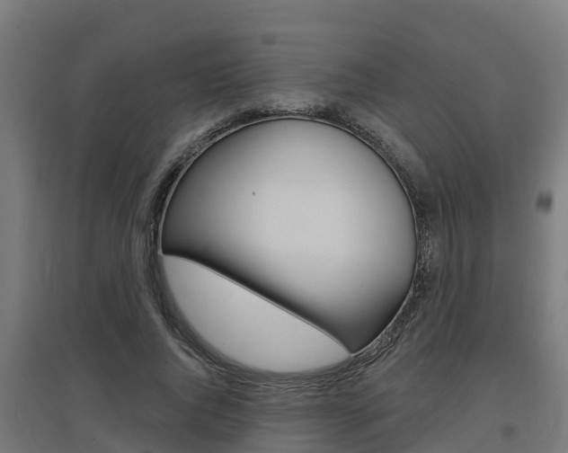 X0000097630736200802290844