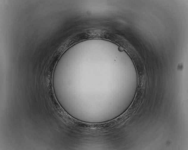 X0000097630737200802290844
