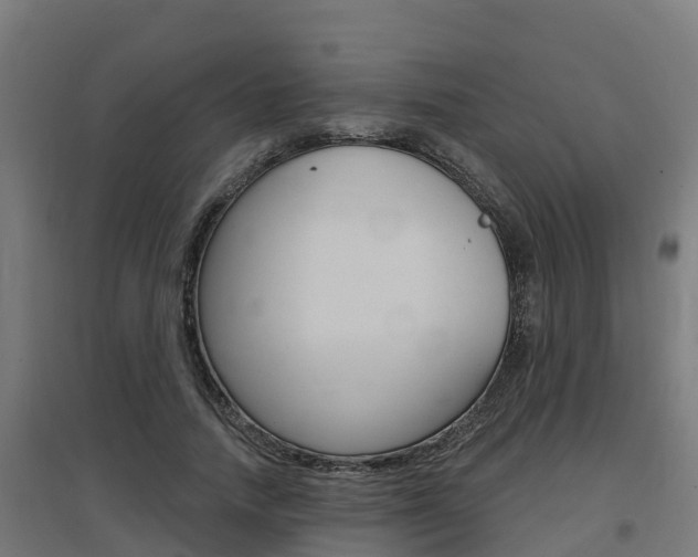 X0000097630738200802290844