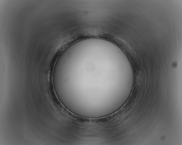 X0000097630739200802290844