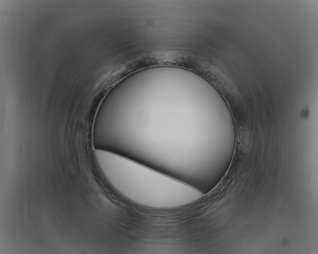 X0000097630740200802290844
