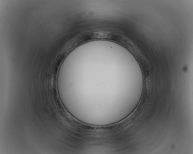 X0000097630741200802290844