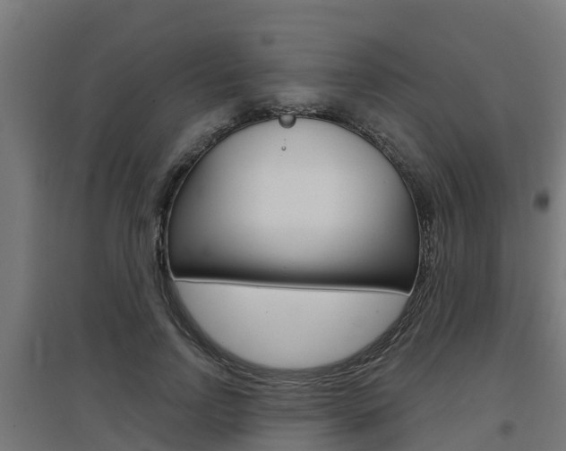 X0000097630742200802290844