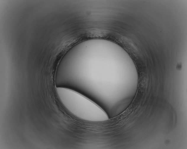 X0000097630743200802290844