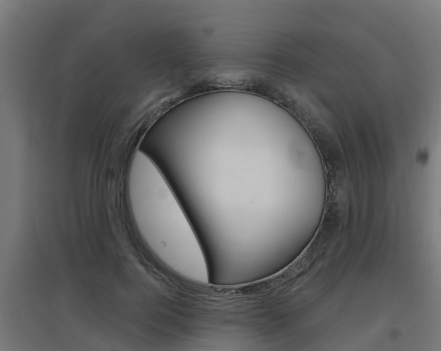 X0000097630744200802290844