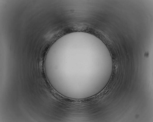X0000097630745200802290844
