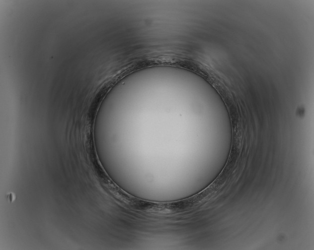 X0000097630747200802290844