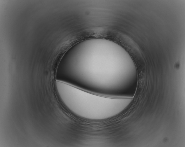 X0000097630748200802290844