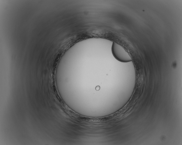X0000097630749200802290844