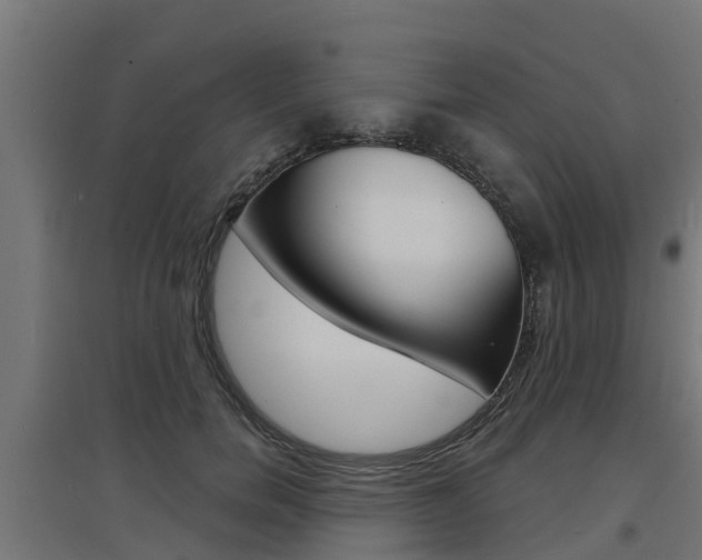 X0000097630750200802290844