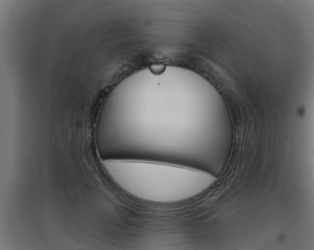 X0000097630751200802290844