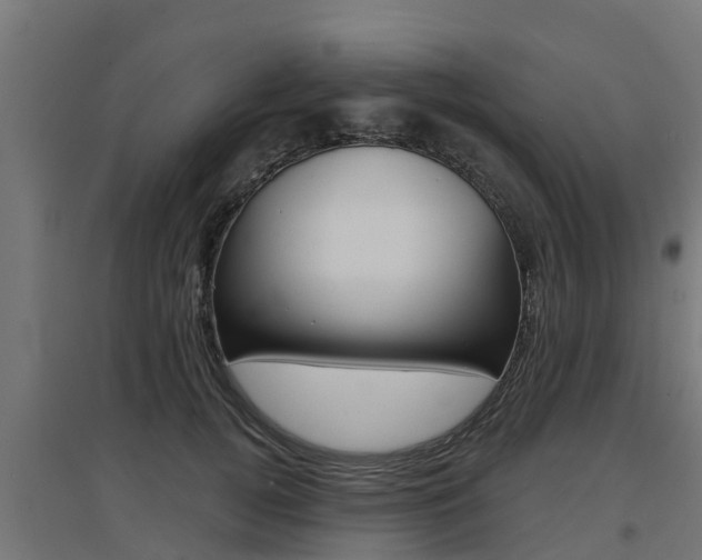 X0000097630752200802290844