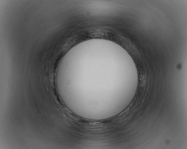 X0000097630753200802290844