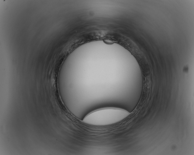 X0000097630754200802290844