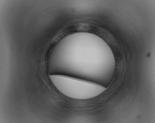 X0000097630755200802290844