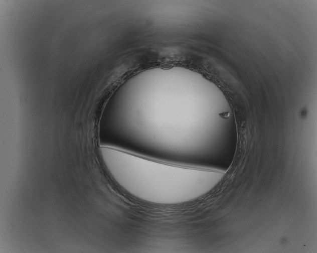 X0000097630756200802290844